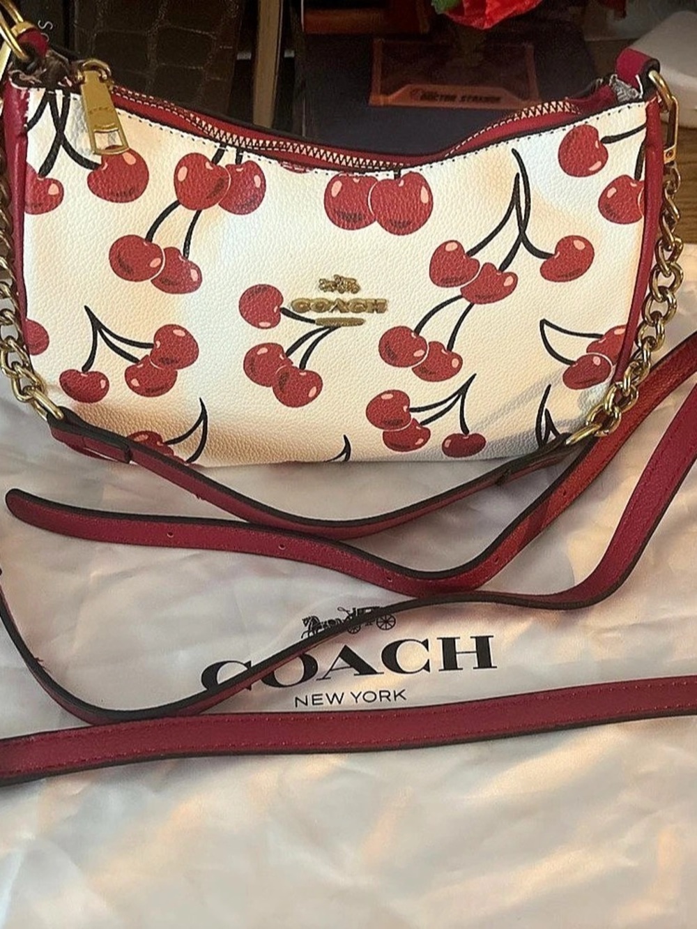 Coach Teri Shoulder Bag With Cherry Print Red & White